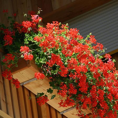 Hotel Schoene Aussicht 칼티트슈 외부 사진