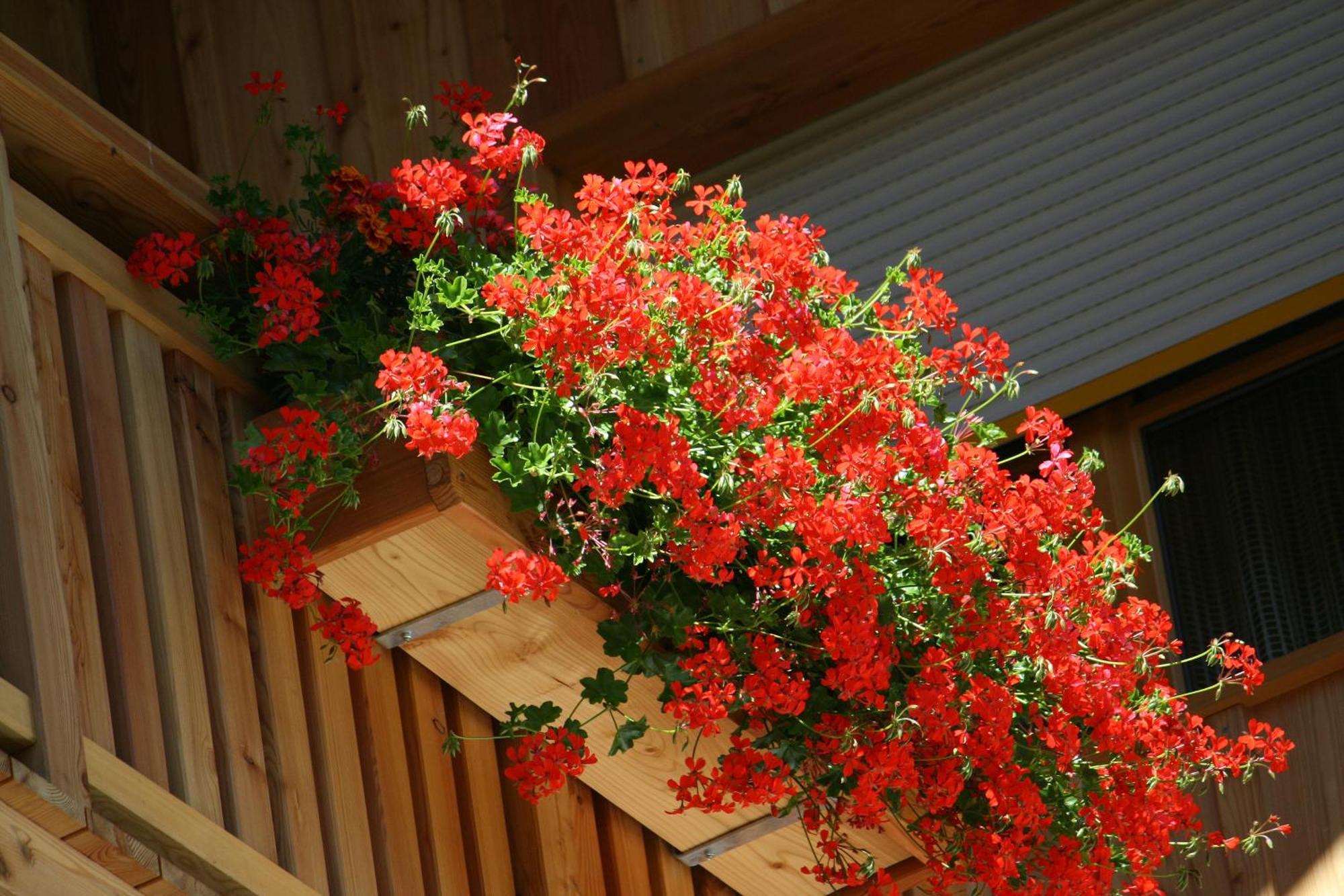 Hotel Schoene Aussicht 칼티트슈 외부 사진