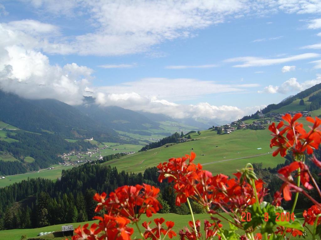 Hotel Schoene Aussicht 칼티트슈 외부 사진